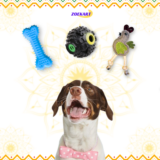 ZoeKart - Fun Box | Dog Toys | Sound ball | Jute Hen Toy | Rubber dumbbell