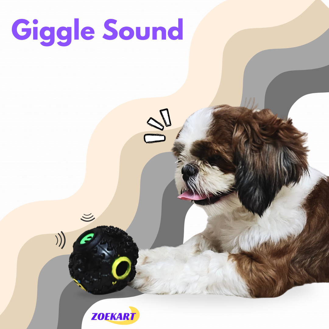 Sound ball | Pet Treat Dispensing Squeaky Sound Ball | Zoekart | Dog Toys