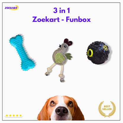 Rubber chew bone for dogs, Squeaky sound ball for interactive play, Plush jute toy for dogs and cats Zoekart Funbox.